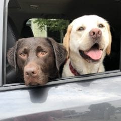 Theodore’s Journey